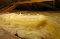Queen Camel pitch roof insulation